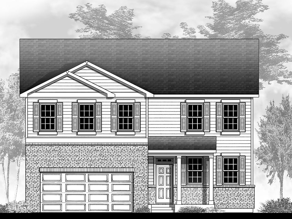 Elevation Image 1.