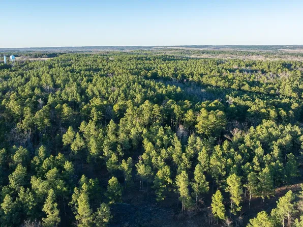 0 State Highway 64 #1, Ben Wheeler, TX 75754