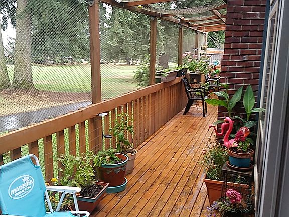 Back Deck