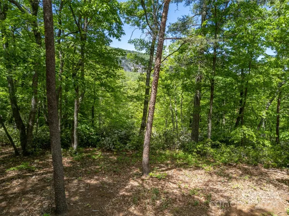 10 Garden Ln, Lake Lure, NC 28746