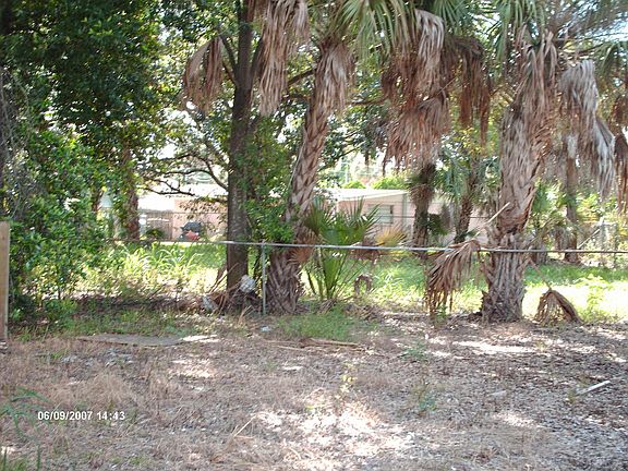Yard view 1