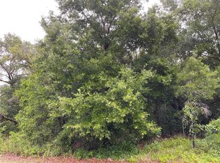 2020 Maximilian Ave #4, Spring Hill, FL 34609