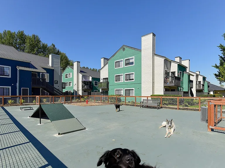 Astral Apartments — Photo 15