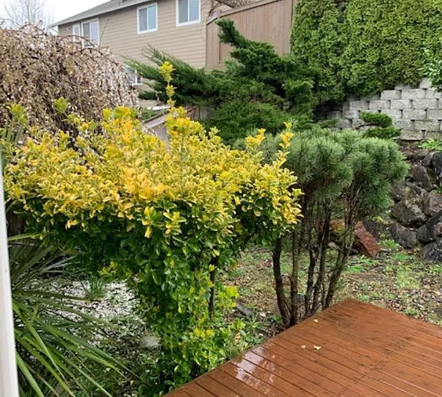 315 S 20th Pl — Photo 17