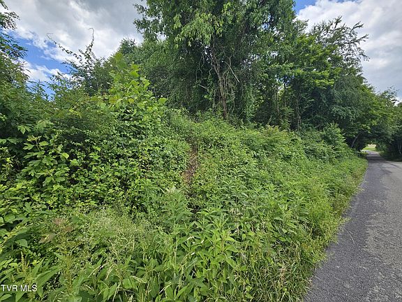 3rd image of Avenue Ln