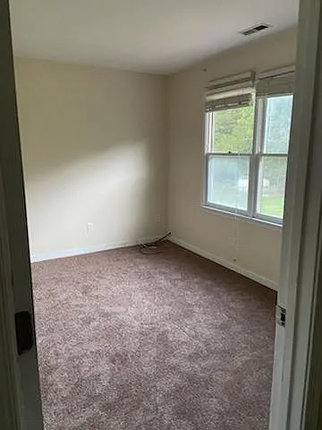 10426 Gibsons Landing Dr — Photo 10