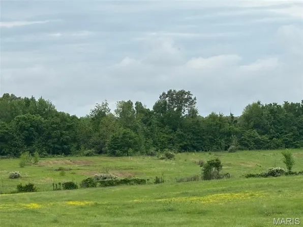 0 County Road 249, Bloomfield, MO 63825