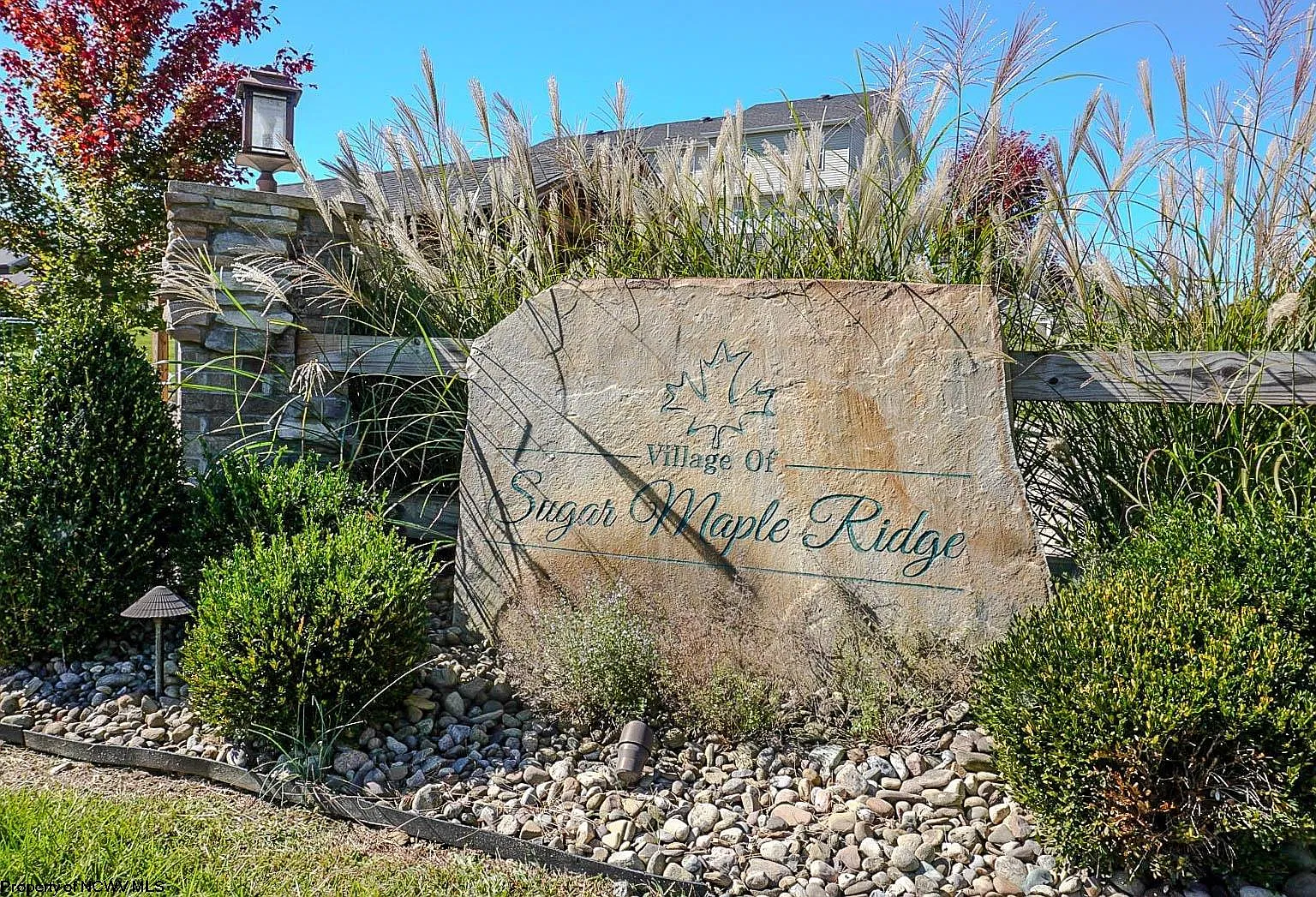 3 bed, 2.5 bath, $2,590 — Photo 2