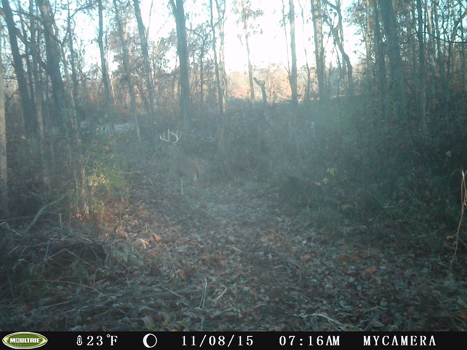 2nd image of 3103 Norton Rd