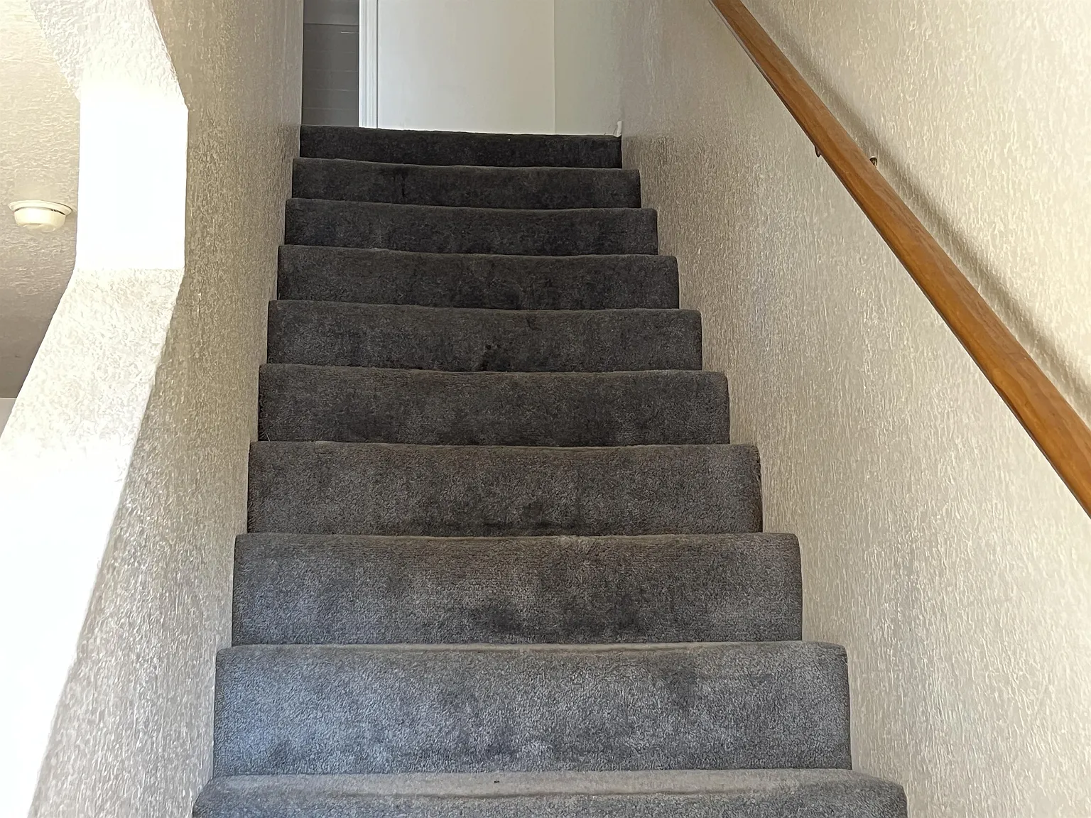 4404 Alan Kent Drive - C — Photo 4