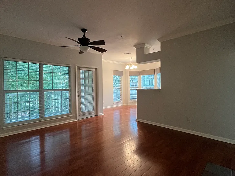 700 Daniel Ellis Dr #4208 — Photo 26
