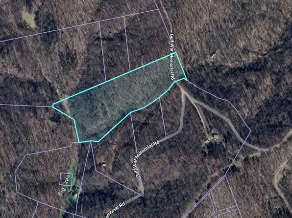 0 Gulf War Memorial Rd, Clendenin, WV 25045