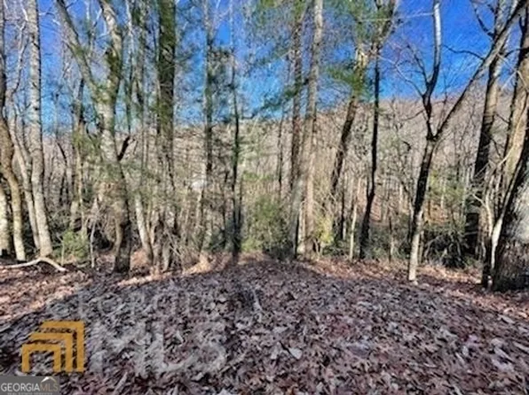 0 Rebel Cir Lot 3, Dillard, GA 30537