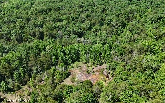3rd image of 0 Oak Bend Rd