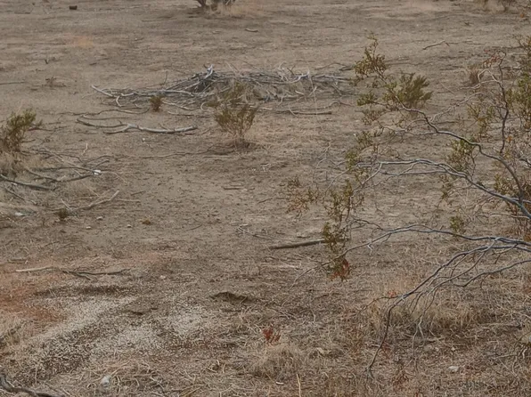 6170 SW Eetser Rdg #62, Rosamond, CA 93560