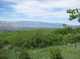 53003 Bull Basin Rd, Mesa, CO 81643