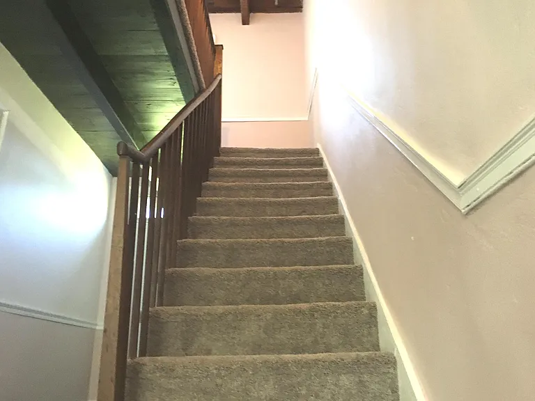 Newly carpeted stairs to second floor