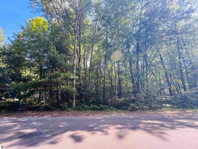 789 Red Pine Dr, Roscommon, MI, 48653