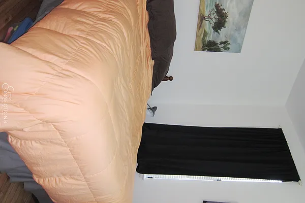 Rented by City Connections Realty | media 15