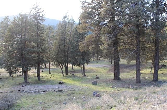 2nd image of 0 Kingbird Ct