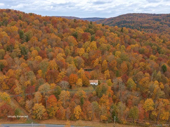 2220 Old Route 17, Roscoe, NY 12776