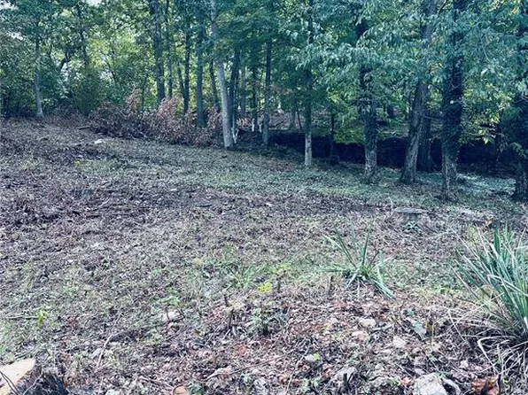 Plat 6 Brown Rd Lot 233, French Village, MO 63036