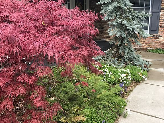 Walk way in front of house