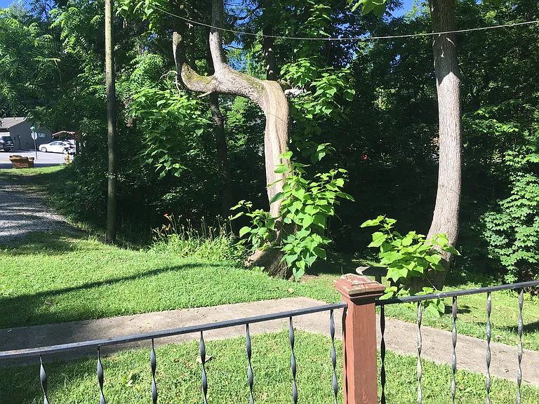 taken from side-door porch
