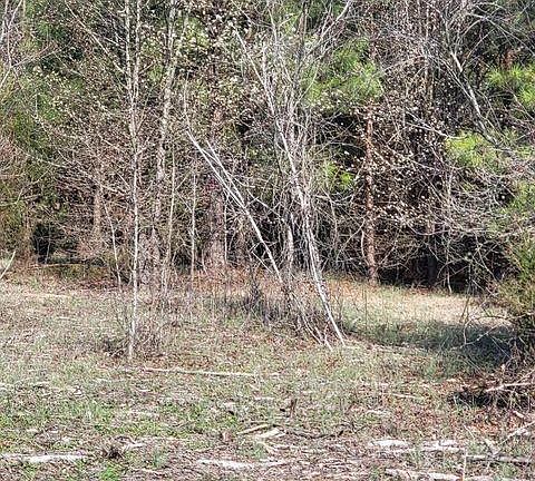 3rd image of Lot 2 Momeyer Way