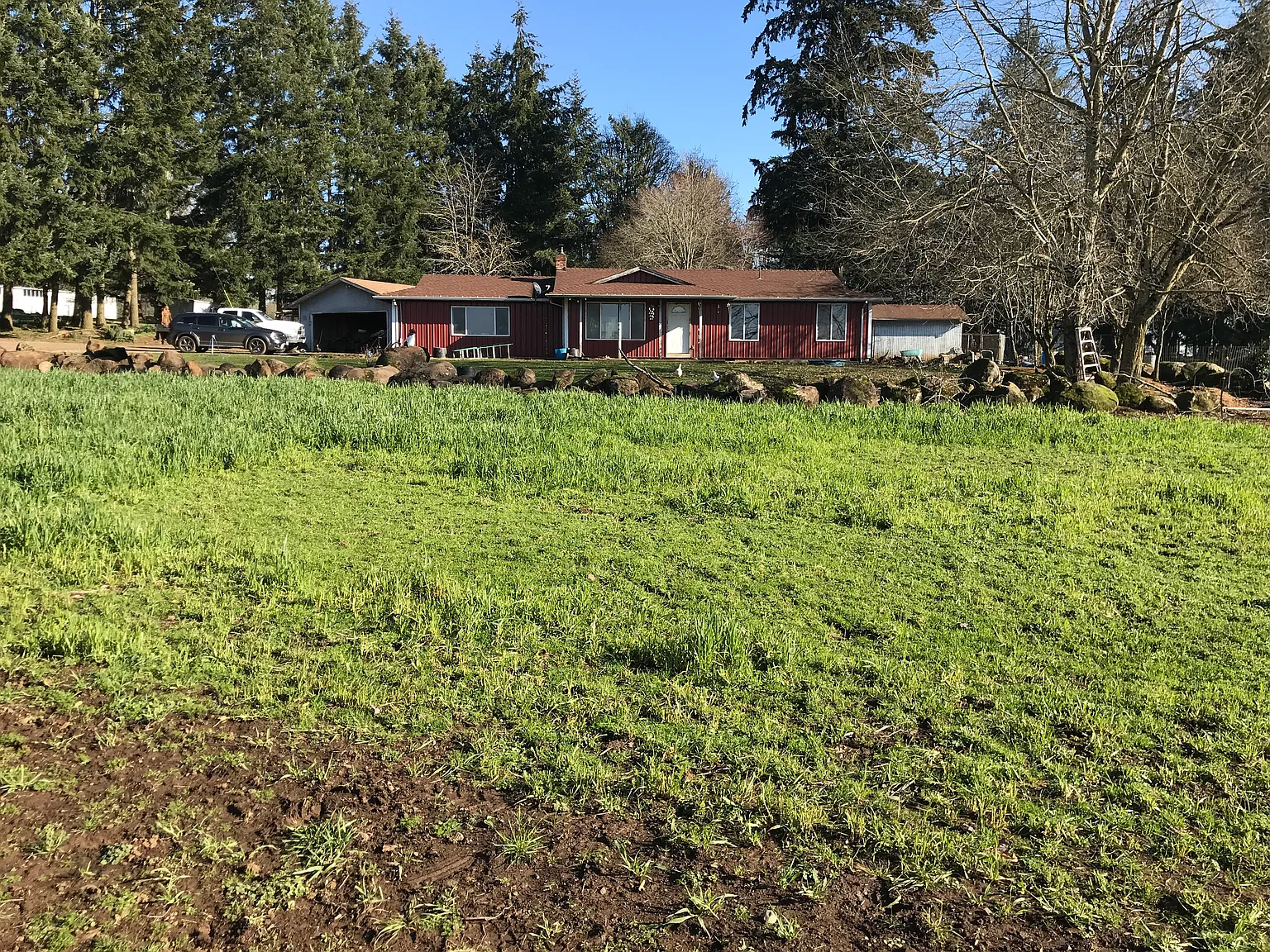 Olney St SE, Salem — Photo 3