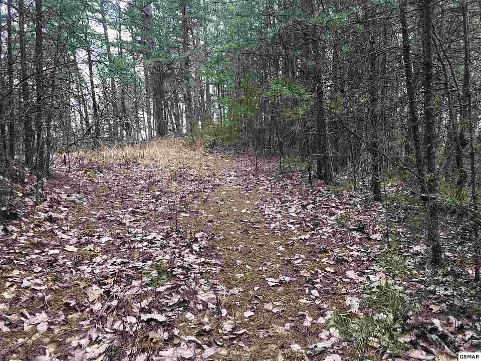 1st image of 0 B J Belk Way Lot Tr11