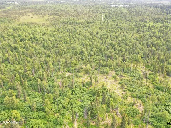 C31 Alaskan Wildwood Rnch, Anchor Pt, AK 99556