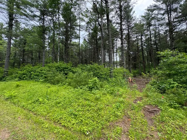 Lots 1&2 Charles Ct, Hazelhurst, WI 54531