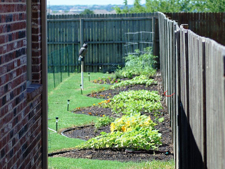 Beautiful garden