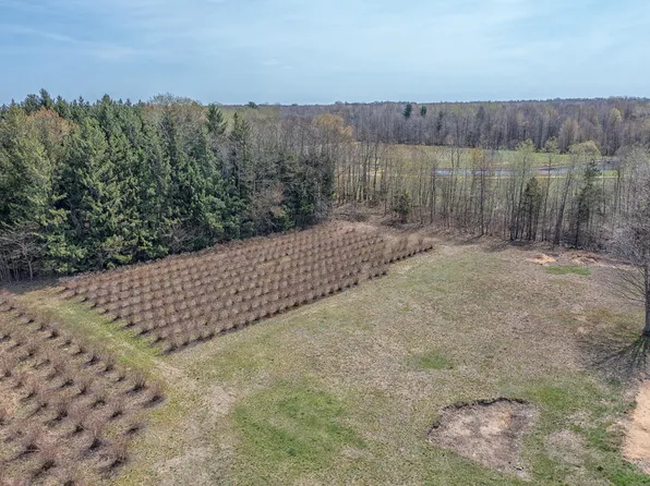 355 60th St, Grand Junction, MI 49056