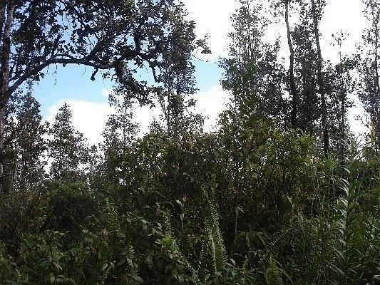 2nd image of Road 2 Lot 2923