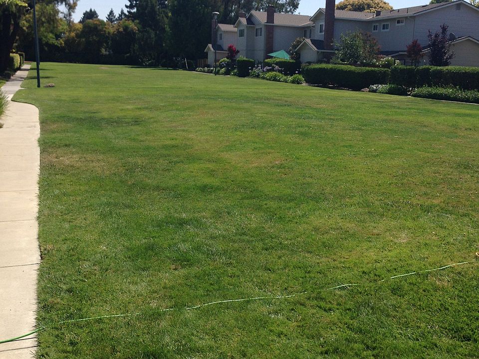 Open Space in Complex 