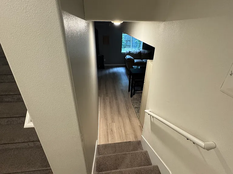556 E Rocky Mouth Ln #BASEMENT — Photo 7