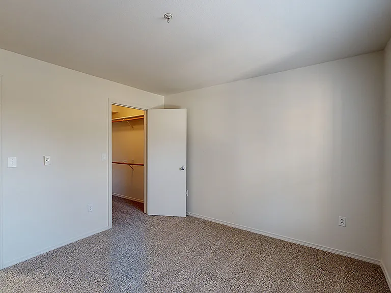 Spacious bedroom with large closet and plush carpet flooring.