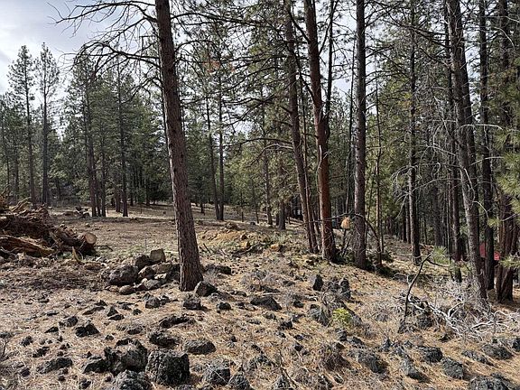 2nd image of 18917 Baker Rd