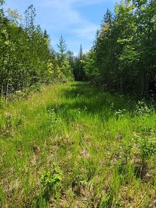 E 27 Mile Rd, Goetzville, MI, 49736