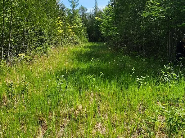 E 27 Mile Rd, Goetzville, MI 49736