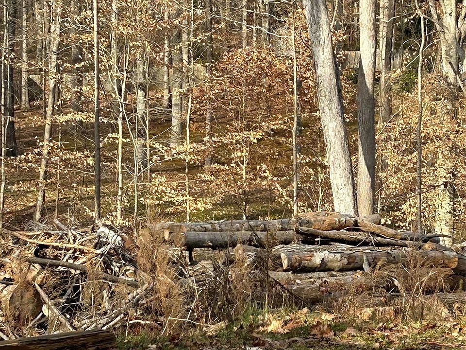 2nd image of 10609 E Lake Rd
