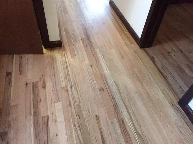 Sparkling hardwood floors