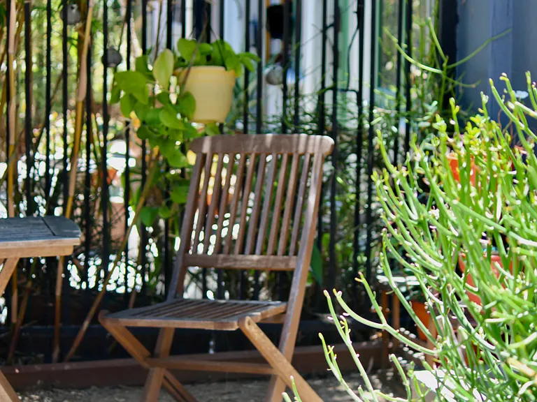 outdoor patio greenery