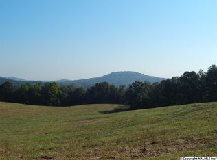 1200 Thompson Falls Dr, Guntersville, AL 35976