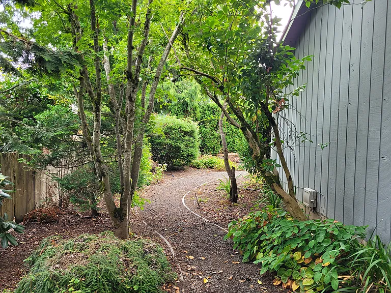To get from the front of the house to the back there is your very own gravel path lined with flowers, shrubs, and trees. Photo taken in fall facing east.
