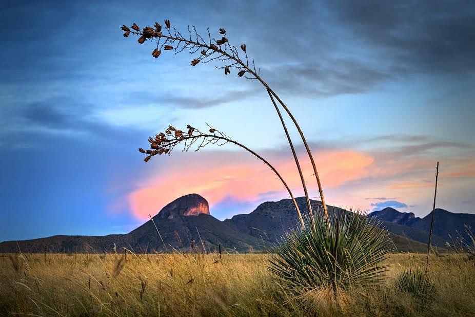 17 AC Prime Winery Location