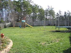 Large BackYard, fence with gate to Large Pool.