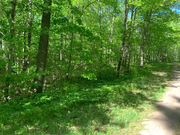 On Bald Eagle Cres Lot 11, Lac Du Flambeau, WI 54538